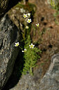 BUITEN BEELD Foto: 446673