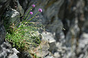 BUITEN BEELD Foto: 446674