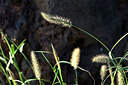 BUITEN BEELD Foto: 446675
