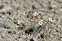 BUITEN BEELD Foto: 446676