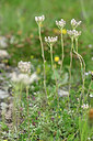 BUITEN BEELD Foto: 446679