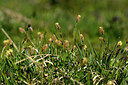 BUITEN BEELD Foto: 446683
