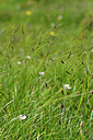 BUITEN BEELD Foto: 446685