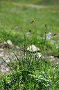 BUITEN BEELD Foto: 446691