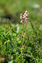 BUITEN BEELD Foto: 446693