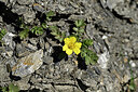 BUITEN BEELD Foto: 446704