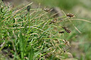 BUITEN BEELD Foto: 446708
