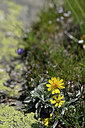 BUITEN BEELD Foto: 446712