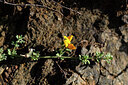 BUITEN BEELD Foto: 446714
