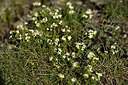 BUITEN BEELD Foto: 446716