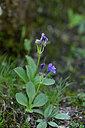 BUITEN BEELD Foto: 446717