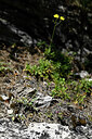 BUITEN BEELD Foto: 446718