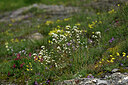 BUITEN BEELD Foto: 446719