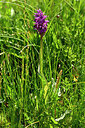 BUITEN BEELD Foto: 446720