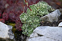 BUITEN BEELD Foto: 446722
