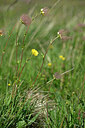 BUITEN BEELD Foto: 446726