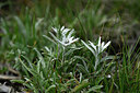 BUITEN BEELD Foto: 446734