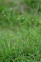 BUITEN BEELD Foto: 446736