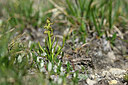 BUITEN BEELD Foto: 446741