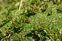 BUITEN BEELD Foto: 446743