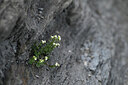 BUITEN BEELD Foto: 446746