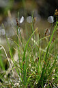 BUITEN BEELD Foto: 446751