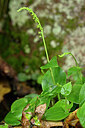 BUITEN BEELD Foto: 446752