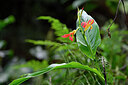 BUITEN BEELD Foto: 446754