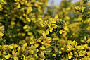 BUITEN BEELD Foto: 446759