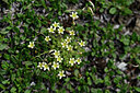 BUITEN BEELD Foto: 446760