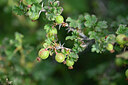 BUITEN BEELD Foto: 446761