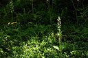 BUITEN BEELD Foto: 446762