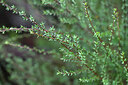 BUITEN BEELD Foto: 446763