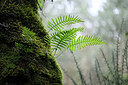 BUITEN BEELD Foto: 446764