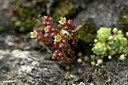 BUITEN BEELD Foto: 446766