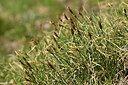 BUITEN BEELD Foto: 446767
