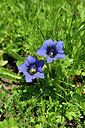 BUITEN BEELD Foto: 446776