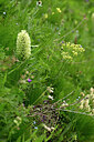BUITEN BEELD Foto: 446778