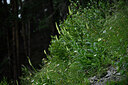 BUITEN BEELD Foto: 446779