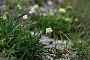 BUITEN BEELD Foto: 446785