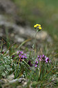 BUITEN BEELD Foto: 446787