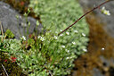 BUITEN BEELD Foto: 446790