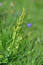 BUITEN BEELD Foto: 446791