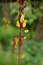BUITEN BEELD Foto: 446793