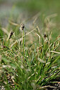 BUITEN BEELD Foto: 446794