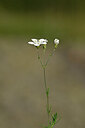 BUITEN BEELD Foto: 446795
