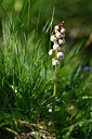 BUITEN BEELD Foto: 446799