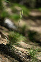 BUITEN BEELD Foto: 446800