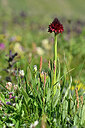 BUITEN BEELD Foto: 446801