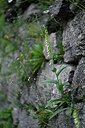 BUITEN BEELD Foto: 446802